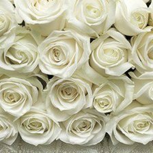 Оригинал схемы вышивки «белые розы» (№688767)