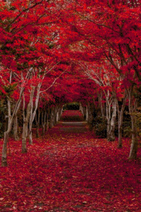 Осенняя дорога - осень, дорога, природа, лес, пейзаж - предпросмотр