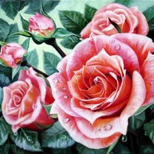 Схема вышивки «как прекрасна роза»
