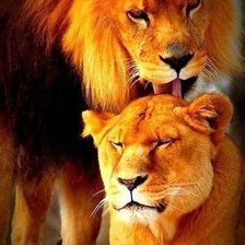 Схема вышивки «лев с львицей»