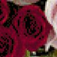 Предпросмотр схемы вышивки «Розы» (№693237)