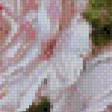 Предпросмотр схемы вышивки «розы 4» (№693452)