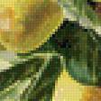 Предпросмотр схемы вышивки «ветка с лимонами» (№693895)