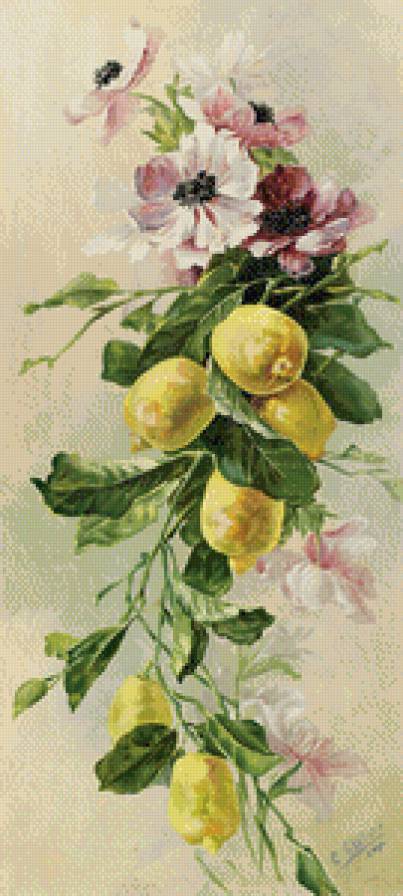 ветка с лимонами - ветка, лимоны, цветы - предпросмотр
