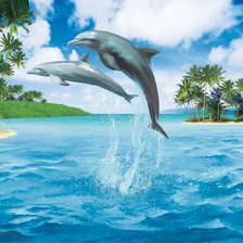 Дельфины прыгают в море