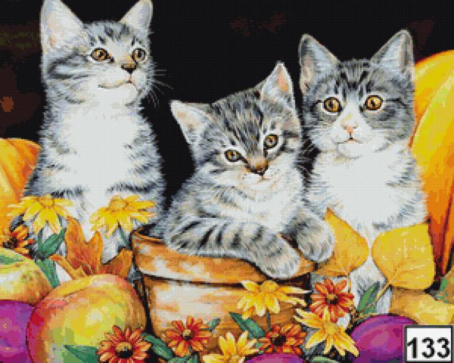 три брата - коты, котики - предпросмотр