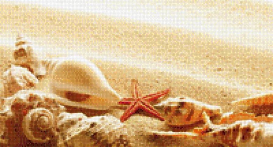ракушка - ракушка, песок, море, морская звезда, жемчужина, звезда - предпросмотр