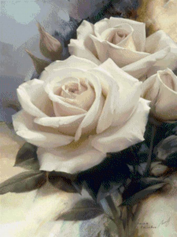 белые розы - розы, букет, нежность, красота, цветы - предпросмотр