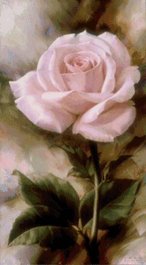 красота розы - роза, живопись, красота, цветок, рисунок - предпросмотр