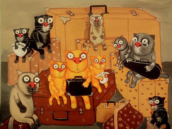 Коты - путешественники - кошки, чемодан, котики, коты - оригинал