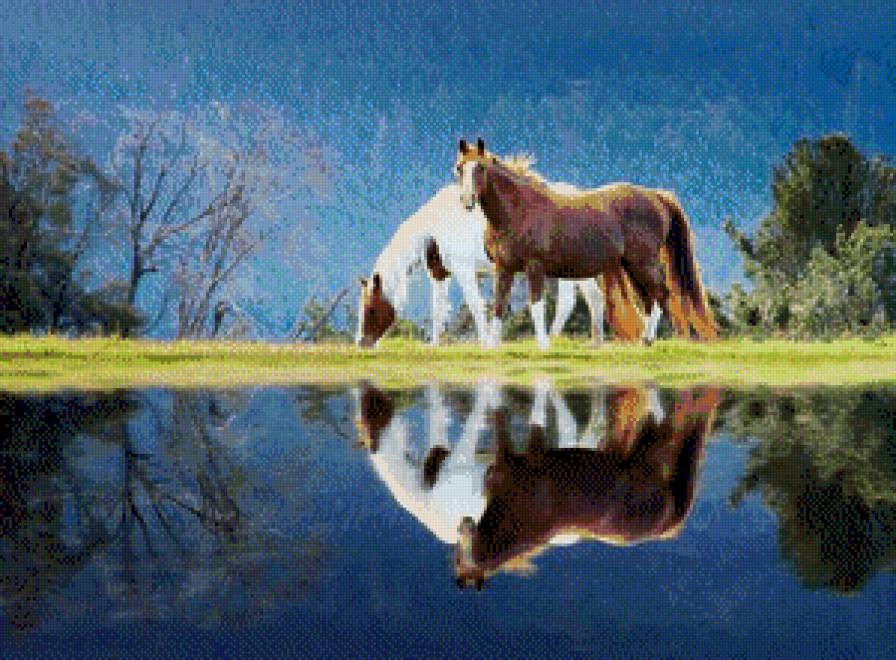 Лошади - животные, лошади, природа - предпросмотр