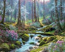 Весна в лесу - лес, весна, пейзаж, сосны, ручей, лесные цветы - оригинал
