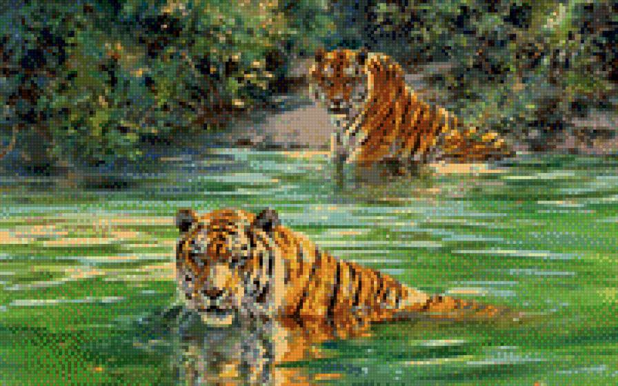 №696602 - тигры, животные, звери - предпросмотр
