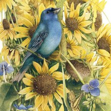 Оригинал схемы вышивки «Птицы и цветы» (№697192)