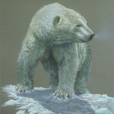 Оригинал схемы вышивки «Белый медведь» (№697258)