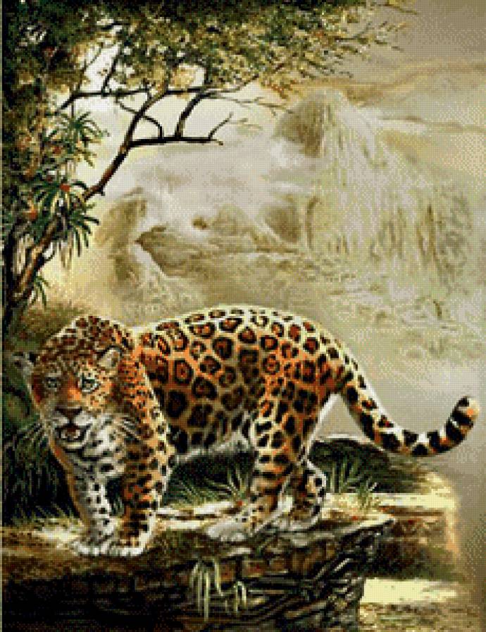 Леопард - хищники, леопард, дикие животные - предпросмотр
