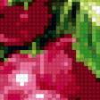 Предпросмотр схемы вышивки «гроздь» (№697355)