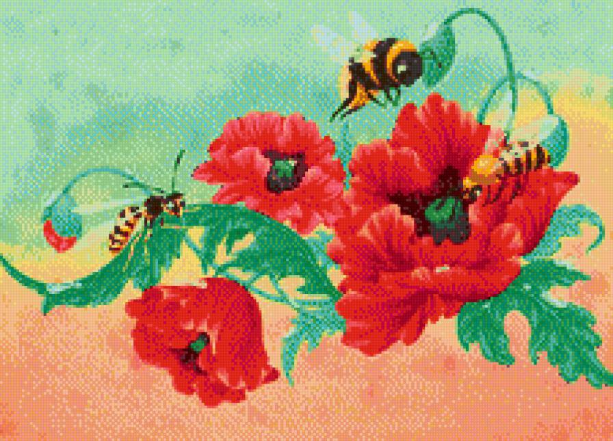 маки - пчелы, мак, полевые цветы, цветы, насекомые - предпросмотр