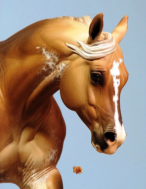 Лошадка - лошадь, конь, жеребец, животные - оригинал