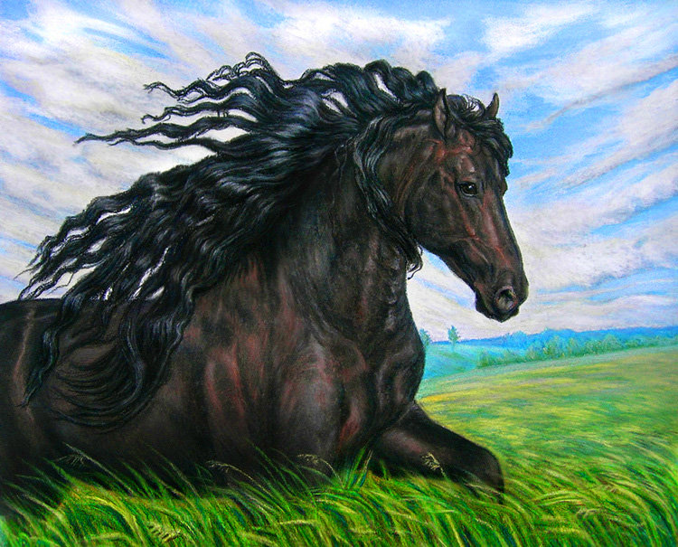 лошадка - лошади, кони, лошадь, конь, животные, лошадка - оригинал