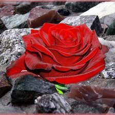 Схема вышивки «Роза на камне»