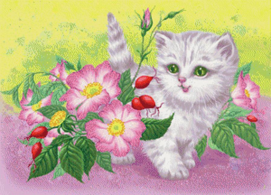 котик - котенок, животные, котик, цветы, ягоды, кошки - предпросмотр
