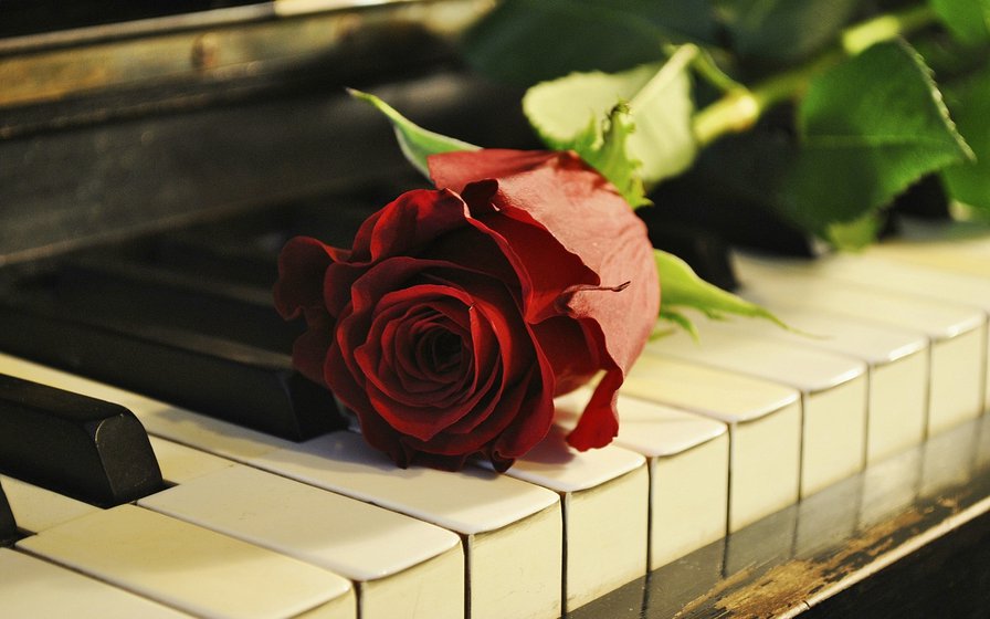 роза и старый рояль - цветы, музыка - оригинал