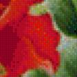 Предпросмотр схемы вышивки «Красные розы» (№698901)