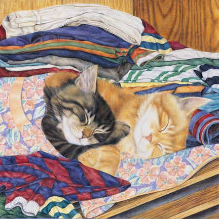 два сони - спящие, коты, котики - оригинал