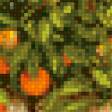 Предпросмотр схемы вышивки «апельсиновое дерево» (№699534)