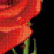 Предпросмотр схемы вышивки «розы на черном» (№699997)