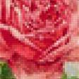 Предпросмотр схемы вышивки «розы» (№700327)