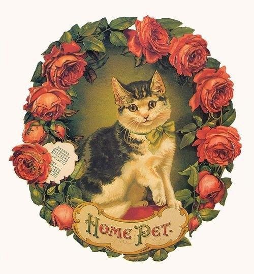 Кошка - розы, винтаж - оригинал