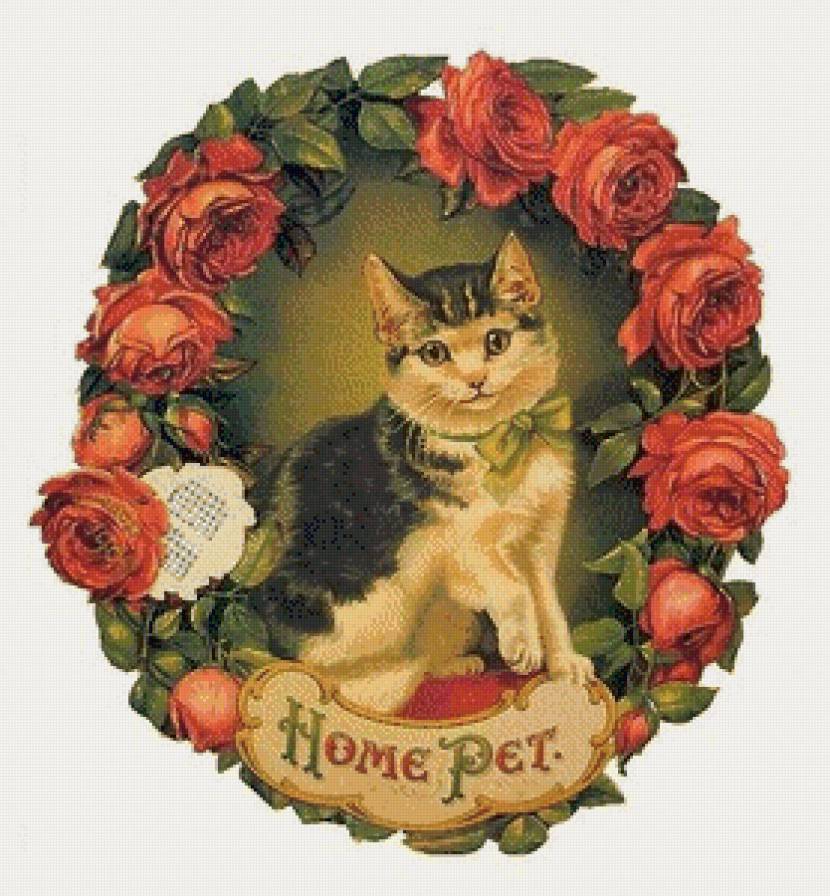 Кошка - винтаж, розы - предпросмотр