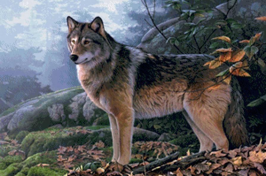 волк - рисунок, лес, животные, пейзаж, волк, живопись - предпросмотр
