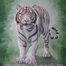 Оригинал схемы вышивки «белый тигр» (№700584)