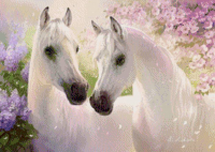 Белые лошади - лошади. природа. - предпросмотр