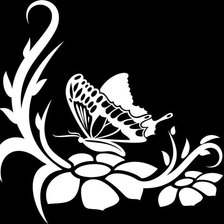Бабочка на цветке, монохром