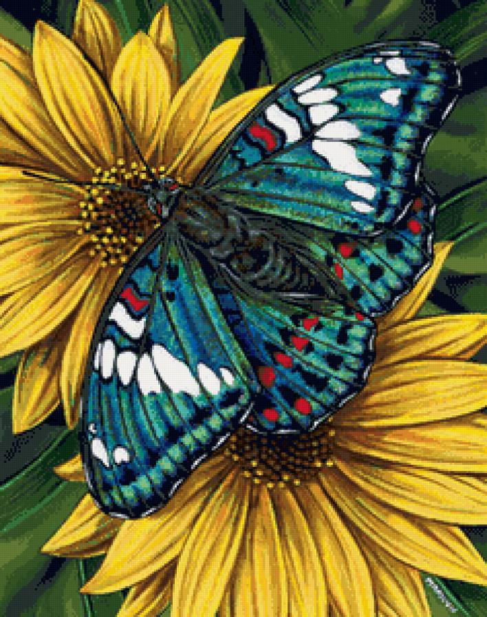 пано бабочка - цветы, бабочки, пано, картина - предпросмотр
