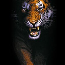 Оригинал схемы вышивки «Тигр» (№701290)