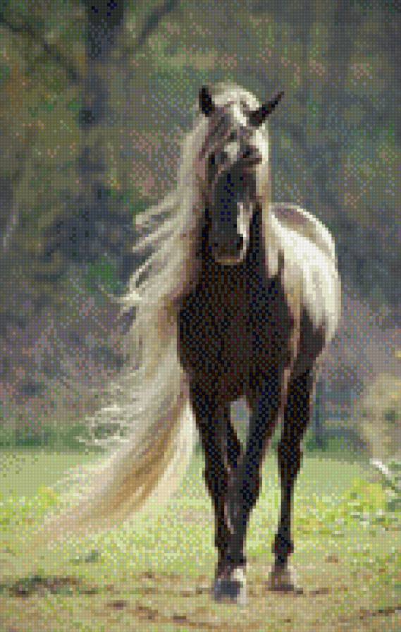 Американская верховая лошадь - лошадь, природа - предпросмотр