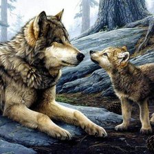 Волчица с волченком