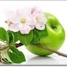 Оригинал схемы вышивки «зеленое яблоко» (№701505)