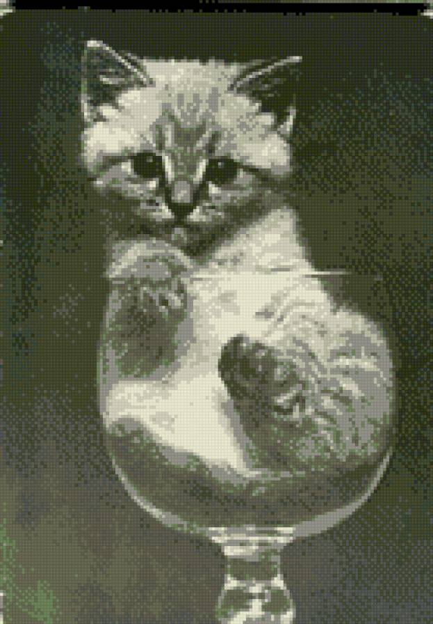 "Советский котенок" - кошки, котики, котенок - предпросмотр