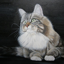 Оригинал схемы вышивки «кошачий портрет» (№701677)