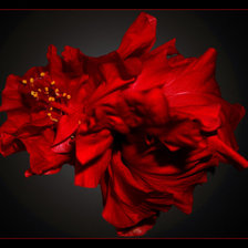 Оригинал схемы вышивки «фламенко» (№702011)