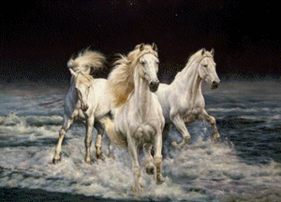 ночные кони - конь, ночь, лошадь - предпросмотр