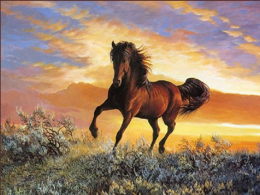 конь - животные, лошадь, конь - оригинал