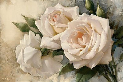 Белые розы - цветы, розы - оригинал