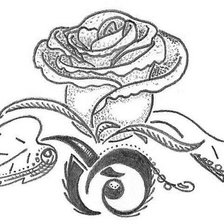 Оригинал схемы вышивки «роза» (№703021)